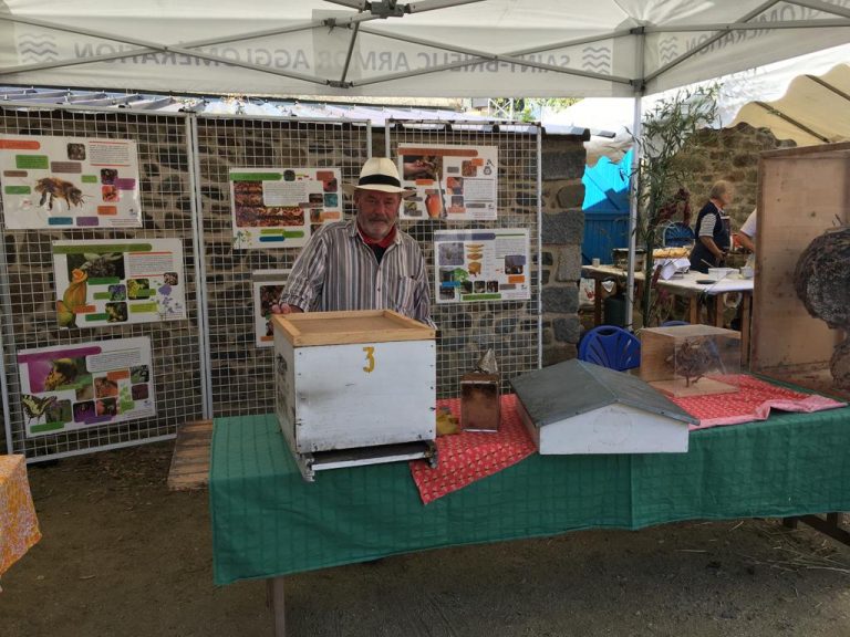 Fete De La Pomme Clery St Andre 2022